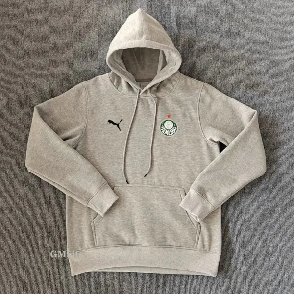 24-25 Palmeiras Grey Hoody